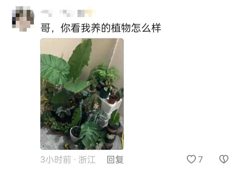 钟楚曦甩过的帅哥男明星，胸肌一个比一个大