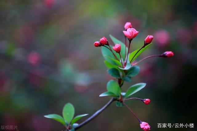 阿姨坦言：搭伙后选择了散伙，我有退休金，不给别人当保姆