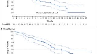 「王牌 ADC」T-Dxd 治疗晚期 NSCLC 效果如何？ | WCLC 2023