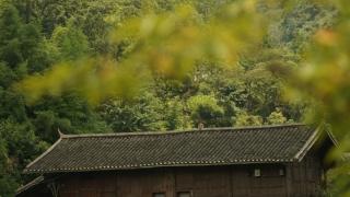 在贵州调研和取景，后天多平台播出｜《春风化雨》剧中美景提前赏