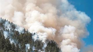 数万人逃离家园！加拿大野火为何今年如此猛烈？