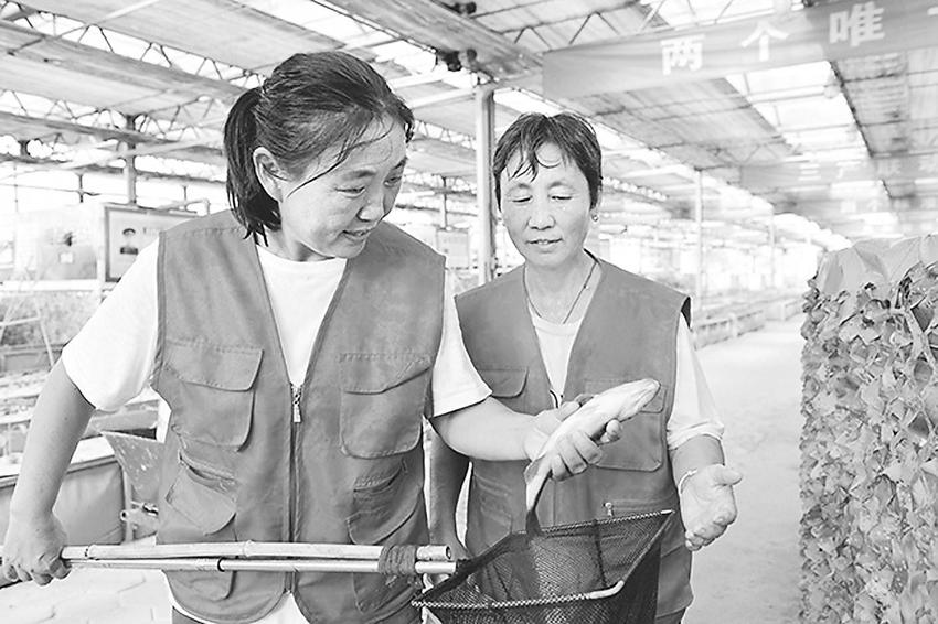 景县妇联搭建平台帮助5000农村妇女就业