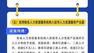 涉及6个方面共66条！枣庄市“榴枣归乡”政策清单出台