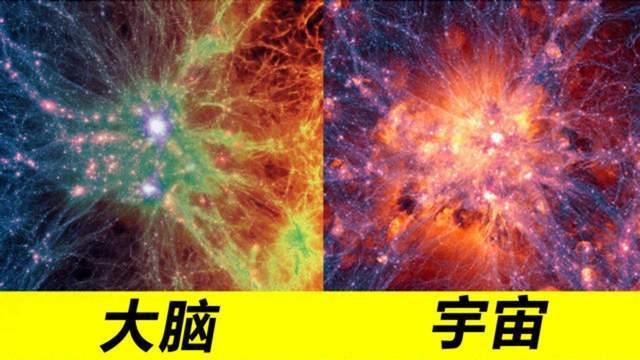 研究发现：人类大脑和宇宙高度相似，这意味着什么？