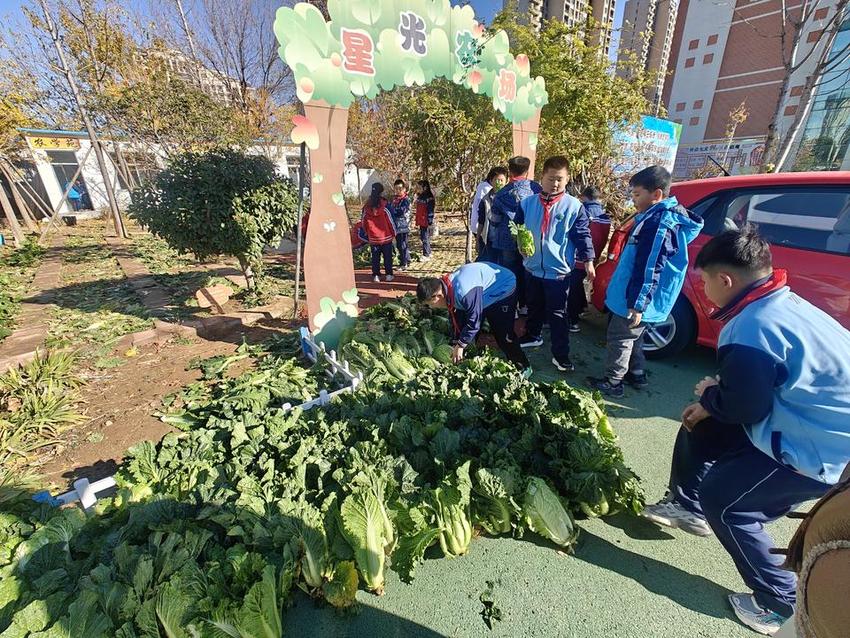 泰山区温泉路小学走进市福利院赠送爱心白菜