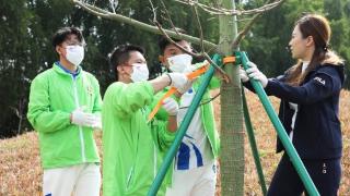 争做绿美广东的守护者！广东青少年投身义务植树共建“青年林”