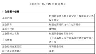 财通内需增长12个月定开混合增聘沈犁 成立4年亏损4成