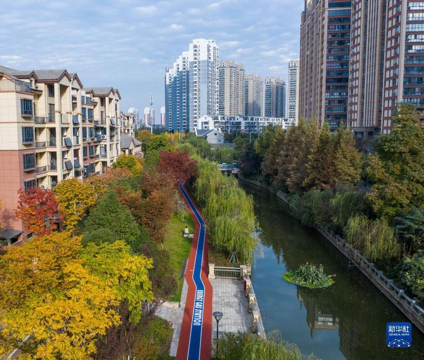 浙江湖州：城市步道铺就居民幸福生活