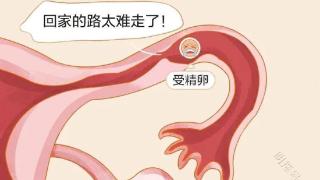 昆明送子鸟：输卵管先天狭窄还可以怀孕吗？有哪些危害？