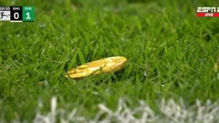 球迷投掷金币巧克力导致比赛中断5分钟，抗议德甲引进外部投资人