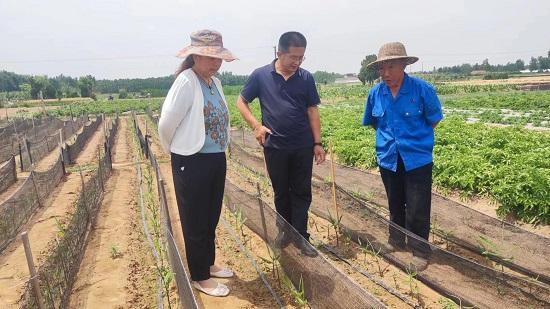 临沂沂河新区梅家埠街道多举措做好抗旱抢种保苗工作