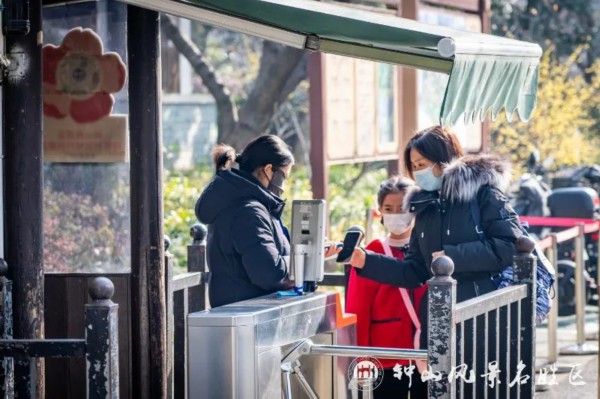 美了！梅花山喜得新花伴新年