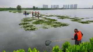 新时代中国调研行·长江篇丨湖北鄂州:从围湖养鱼到结网种草 湖乡美景催生“美丽经济”