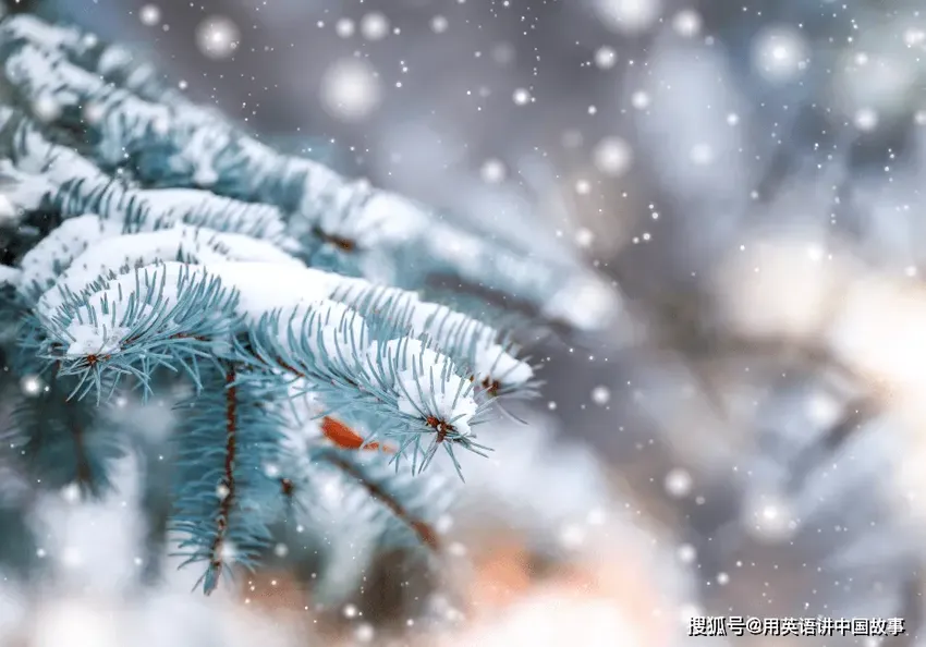 大雪“滋补”攻略：古人冬天吃什么？