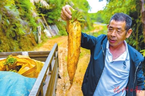 生产方式大变样　村民生活大不同