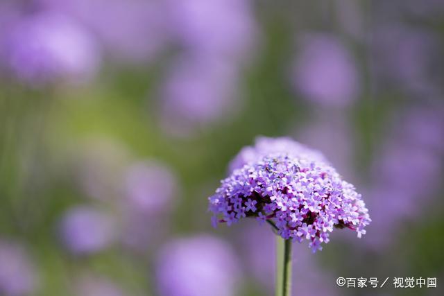 人到五十岁，如若出现这些征兆，说明老天爷在眷顾你