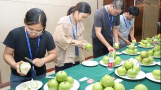 从“味”相遇，江苏省第五届优质早熟梨品鉴活动在泰兴举行