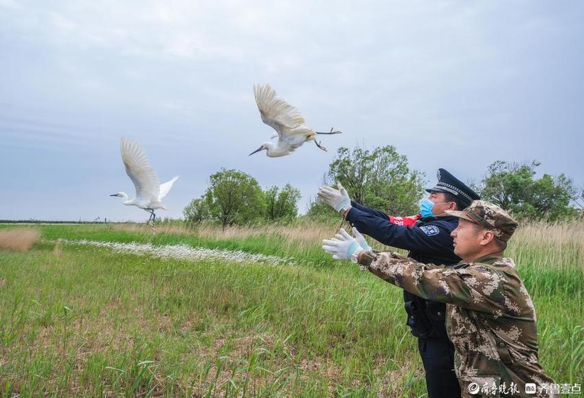 苏冠昌：湿地荒滩的生态卫士