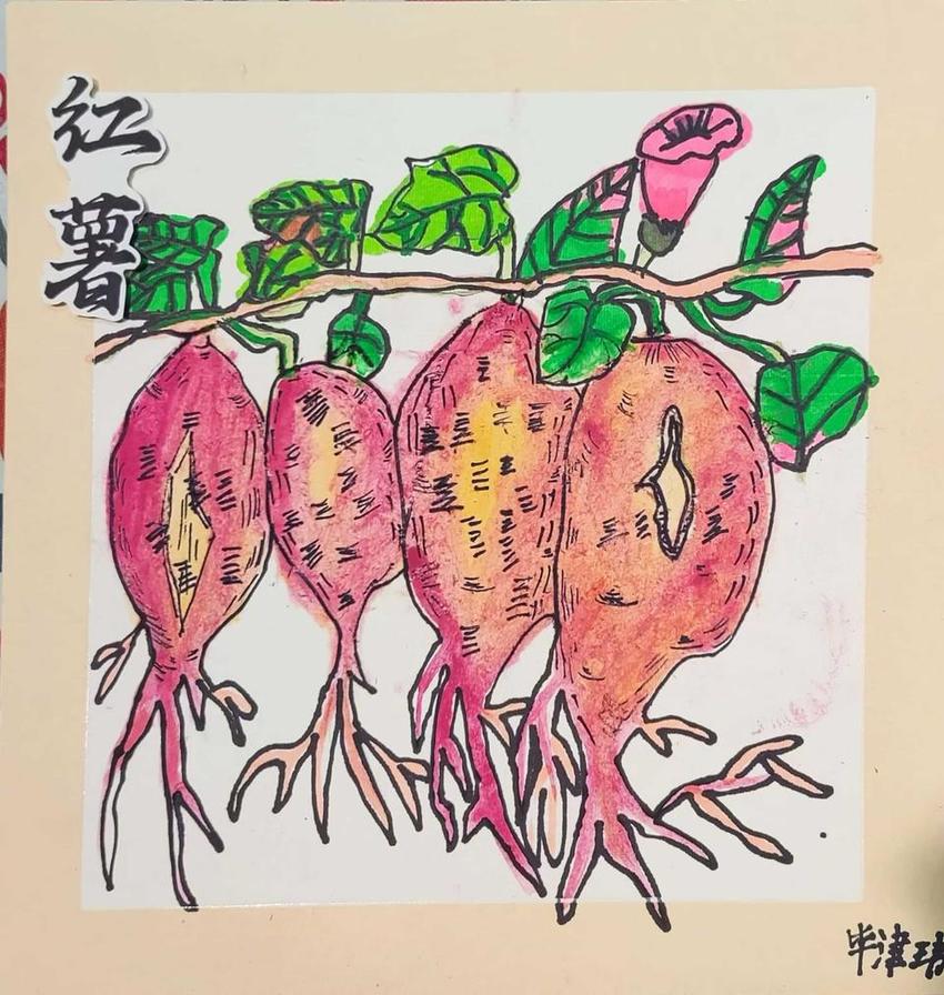 小小地瓜里的大课堂！这所学校正在开展“挖地瓜”劳动实践