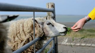 鹤庆农业种植业适度规模经营前景广阔