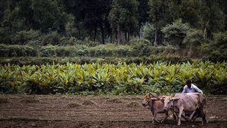 霍道宪：带领300多户农民致富