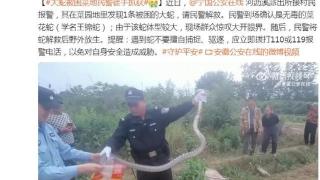 宁国公安在线河沥溪派出所接村民报警发现一条被困大蛇