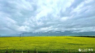 70载栉风沐雨 金色门源绽新颜