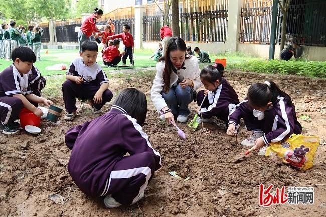 石家庄市盛和小学举行第三届播种节暨幼小衔接护苗活动