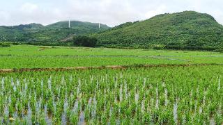 广西桂林统筹自然资源要素赋能乡村振兴