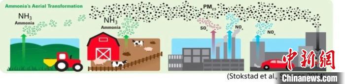 风云气象卫星首幅！中国科学家获得大气中氨气浓度全球分布图