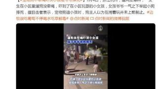 宠物狗未拴绳追赶吓哭小女孩，爷爷当场将其摔死是防卫过当？律师发声