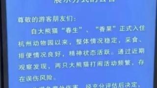 因频繁打闹各住单间，杭州动物园两只大熊猫已分开饲养