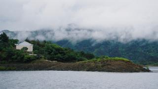 奋进中国 大江澎湃｜青山变金山，黄石阳新走出生态致富新路