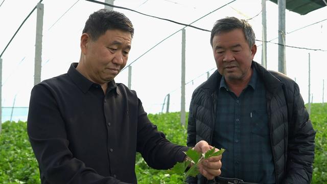 菏泽曹县农业农村局积极应对寒潮天气