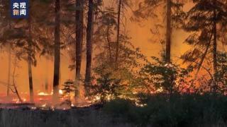 美国西部多处山火持续蔓延 部分地区已进入紧急状态
