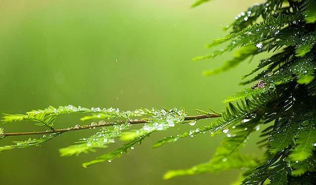 人生的这三场凄风苦雨熬过去，你就赢了