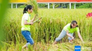 农民丰收节三亚分会场突出农业文化赋能