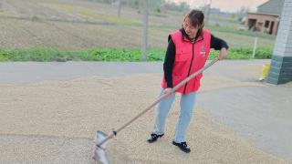 盐都区盐渎街道：农忙季节网格服务精准快