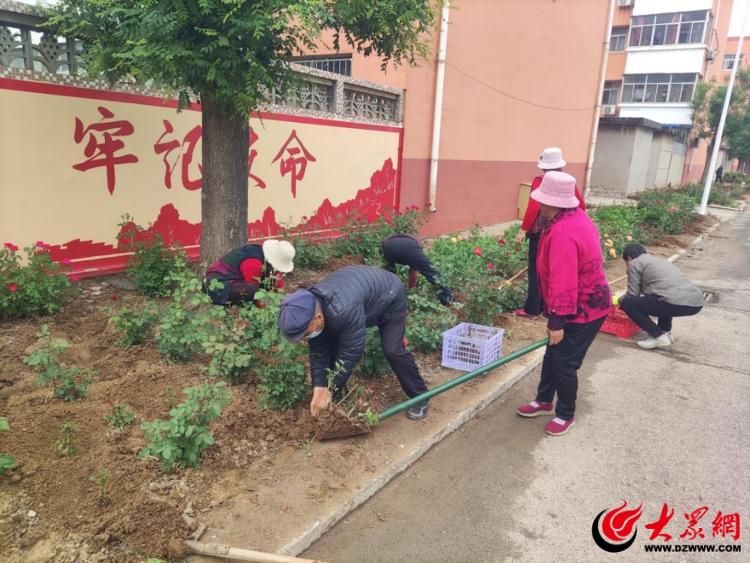 潍坊滨海区大家洼街道：聚焦精细化治理，打造有温度的社区