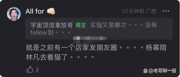 杨幂被曝和林凡同居，林凡被扒做过台T，杨幂现在的取向被质疑