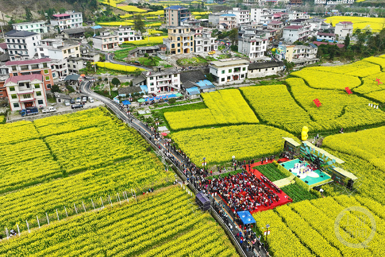 山村花田音乐会