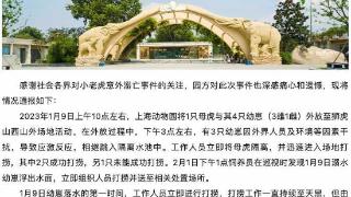 上海动物园发布小老虎意外溺亡事件情况说明