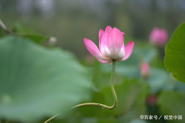 有这几种习惯的人，大多“城府”特别深