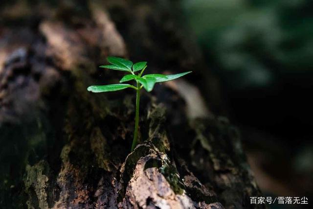 那些过得好的夫妻，不是不吵架，而是敢做3件事