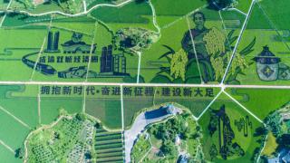 多角度展示丰收盛况 重庆市2023年中国农民丰收节主场活动将在这四个区县举行