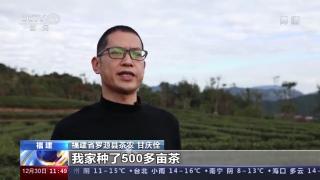 我国茶叶产值超3000亿元仍保持全球第一