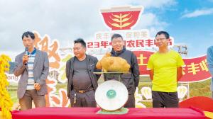 “洋芋王”重2.4公斤