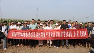 微山县农业“课堂”搬到田间地头，帮助农民长本事、增收入