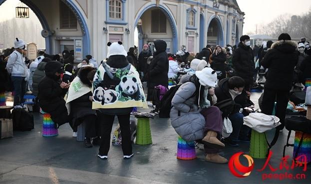 旅韩大熊猫“福宝”最后一天上班 韩国民众凌晨排队告别