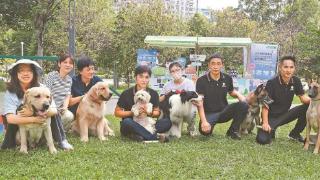 爱犬人快乐相聚 文明风浸润人心